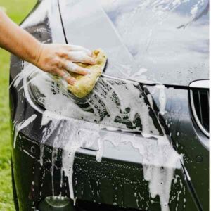 CleanoraX show image sponge